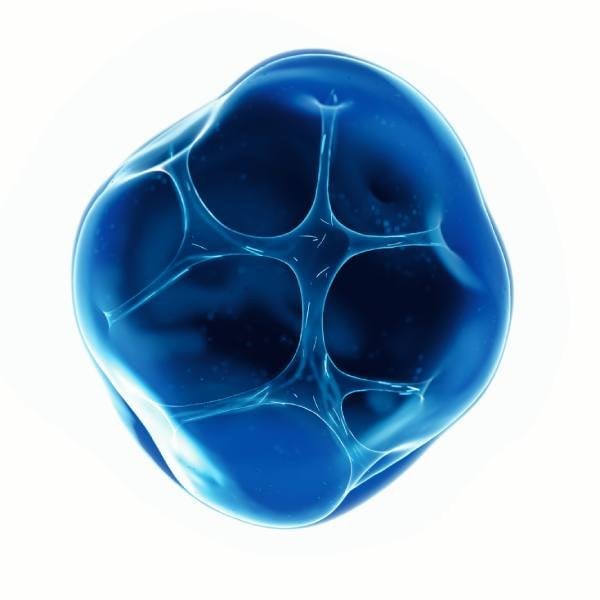 Neurosensine ingredient